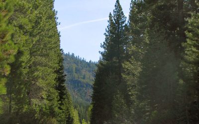 Blackwood Canyon Rd.