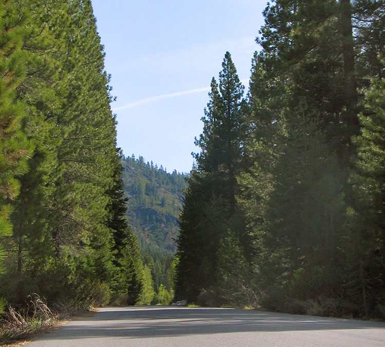 Blackwood Canyon Rd.