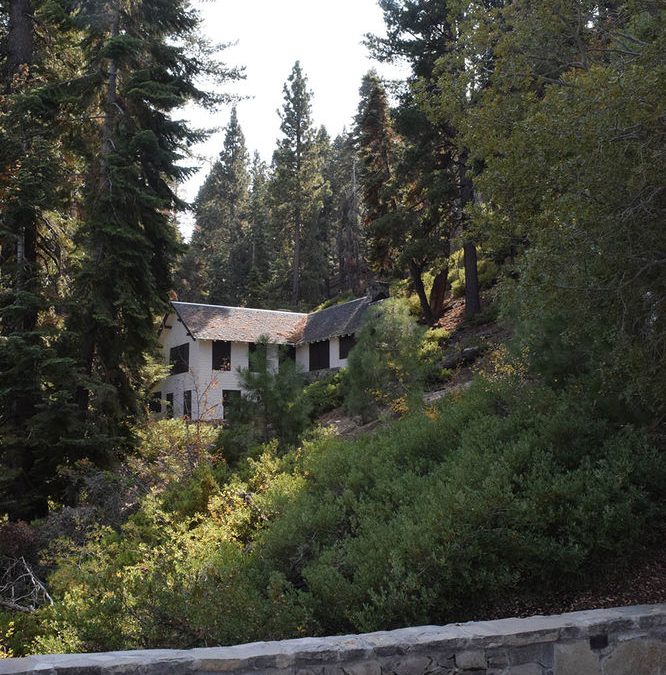 Dollar House