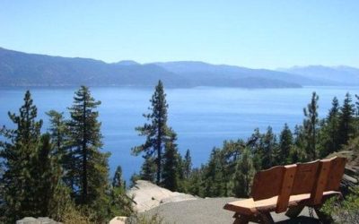 Lookout Fire Trail FS