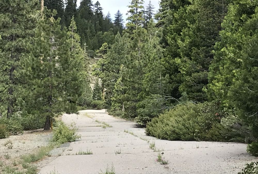 Abandoned Mountain Highway