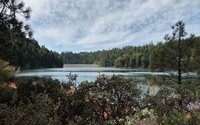 Sugar Pine Reservoir