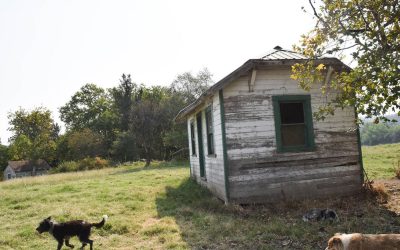 Sinclair Family Farm