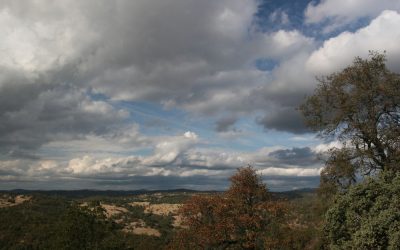 Harvego Bear River Preserve