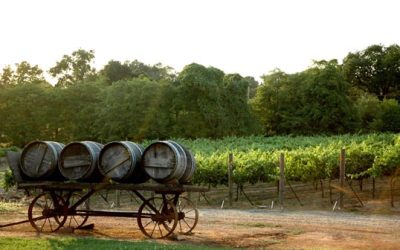 Mt. Vernon Vineyard