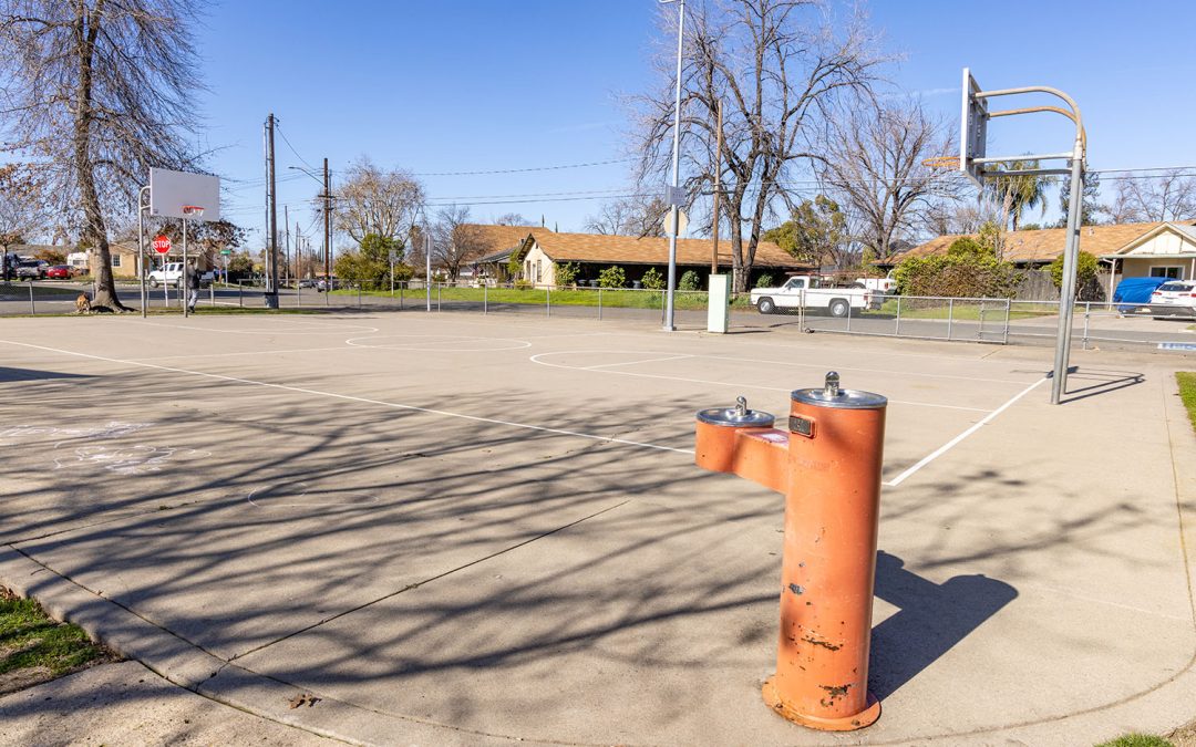 Shirley Ferretti Park