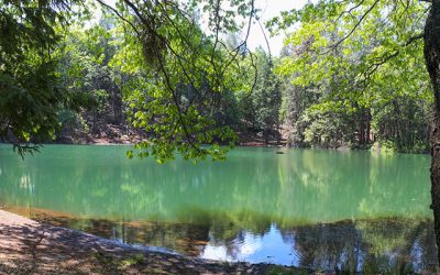 Todd Valley Pond Park