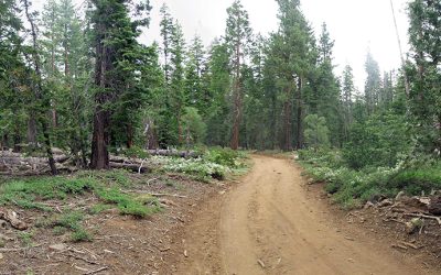 Burton Creek State Park