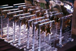 An image of multiple clear glass COLA awards on a black table.