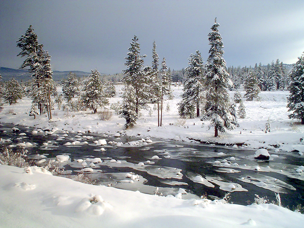 By Bruce C. Cooper (DigitalImageServices.com), CC BY 2.5, https://commons.wikimedia.org/w/index.php?curid=7050961