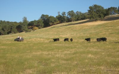 Al’s Barn and Farm