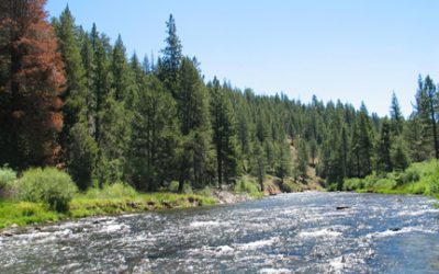 Truckee River