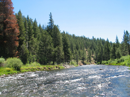 Truckee River