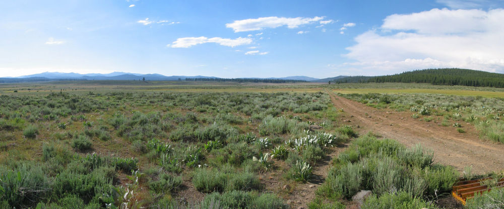 Dirt Road Martis Valley/Land Trust
